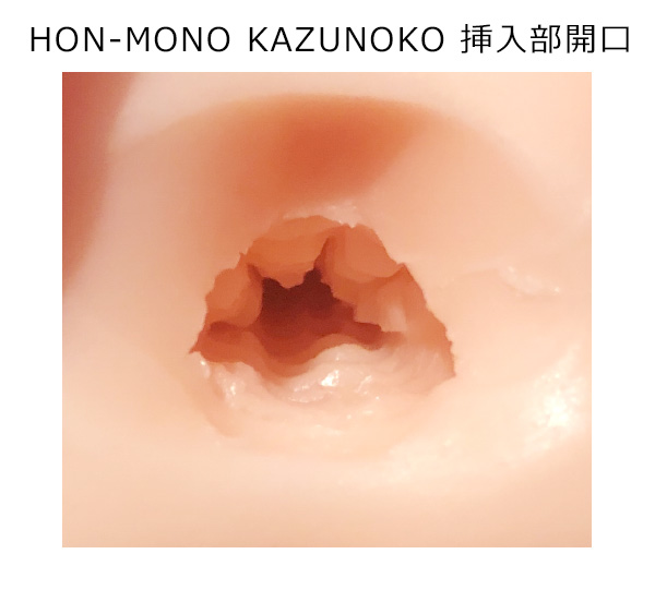 ＨＯＮ－ＭＯＮＯ ＫＡＺＵＮＯＫＯ（ホンモノ カズノコ）