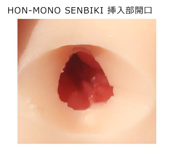 ＨＯＮ－ＭＯＮＯ　ＳＥＮＢＩＫＩ