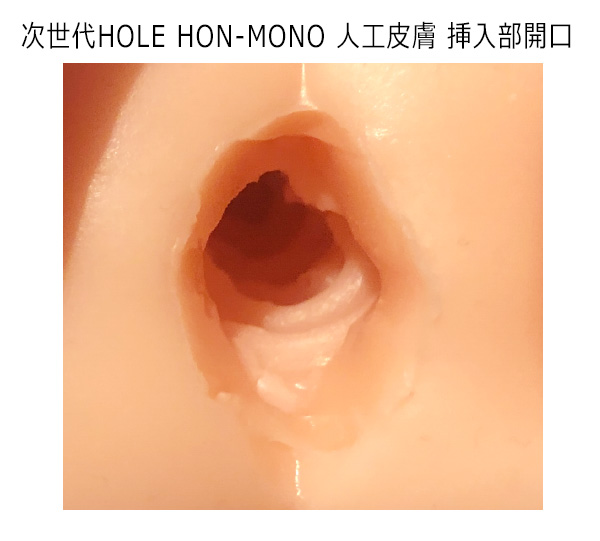 次世代ＨＯＬＥ　ＨＯＮ－ＭＯＮＯ人工皮膚