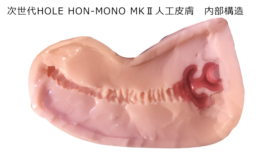 次世代ＨＯＬＥ　ＨＯＮ－ＭＯＮＯ　ＭＫⅡ　人工皮膚