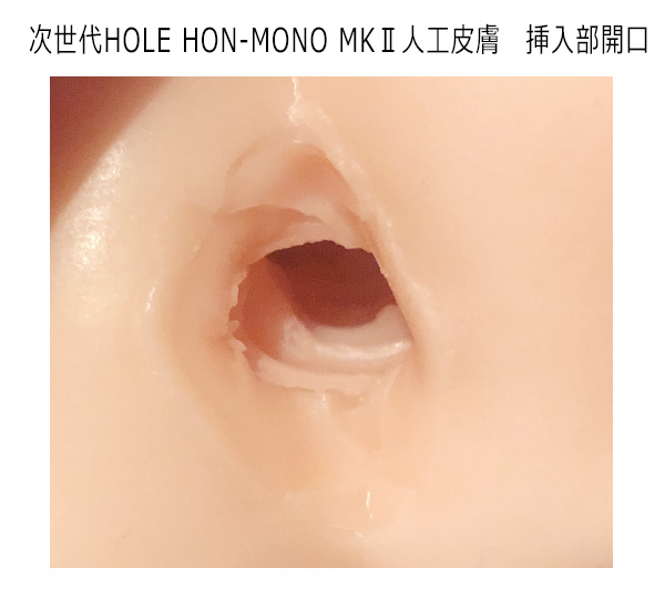 次世代ＨＯＬＥ　ＨＯＮ－ＭＯＮＯ　ＭＫⅡ　人工皮膚